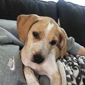 Meet your Posher, Andrew